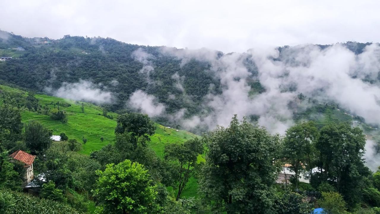 Patlekhet Eco Farmhouse دهوليكهيل المظهر الخارجي الصورة
