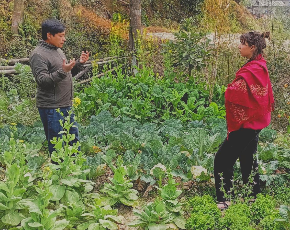 Patlekhet Eco Farmhouse دهوليكهيل المظهر الخارجي الصورة