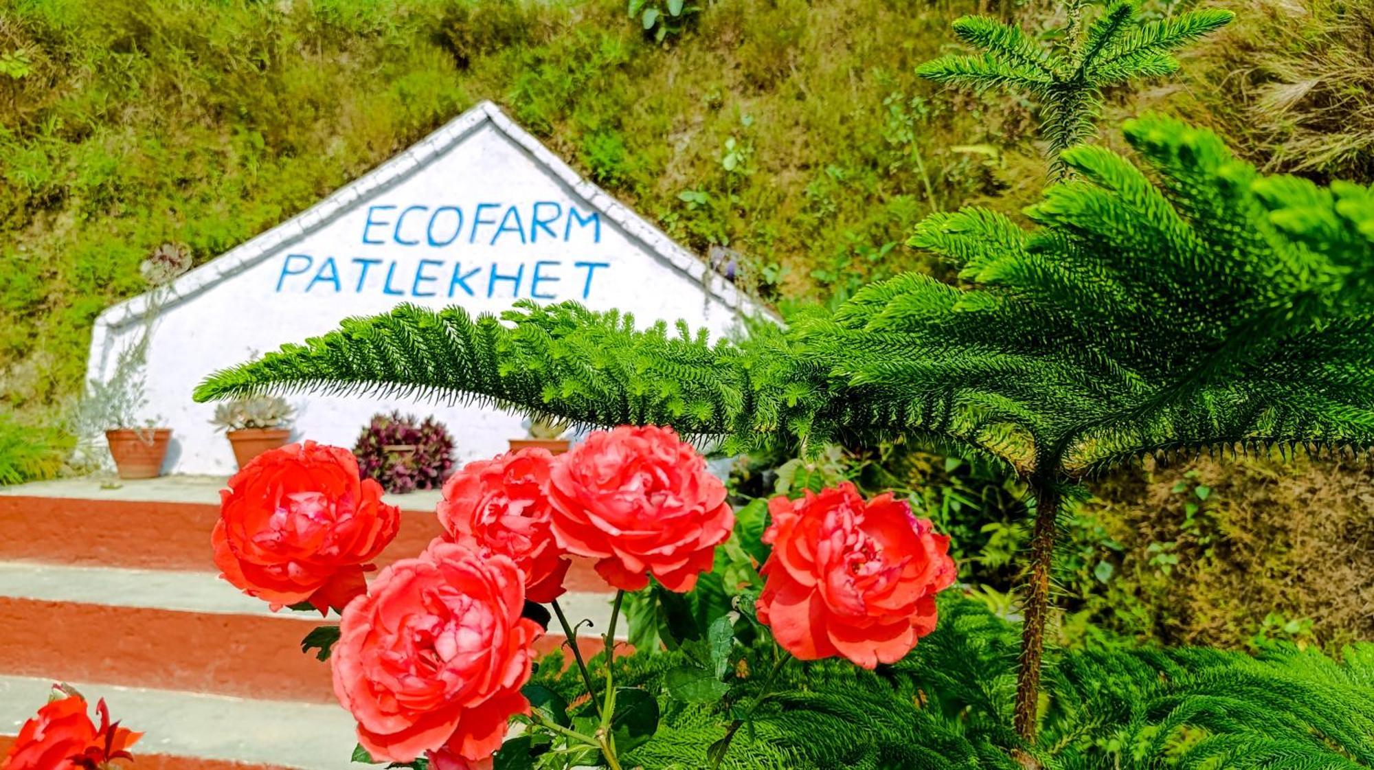 Patlekhet Eco Farmhouse دهوليكهيل المظهر الخارجي الصورة